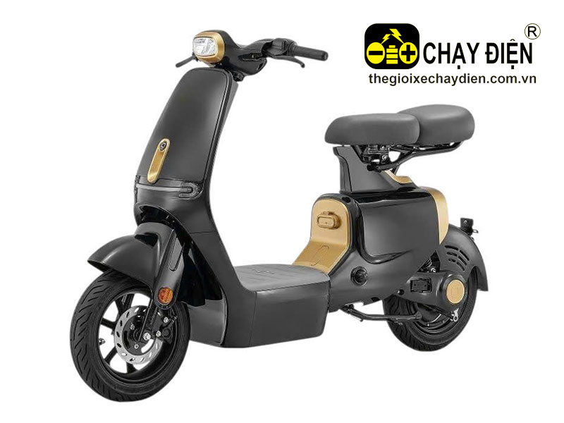 Xe điện VC Pro