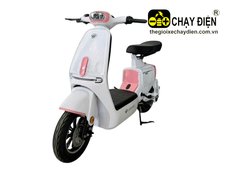 Xe điện Vnbike V1 Pro