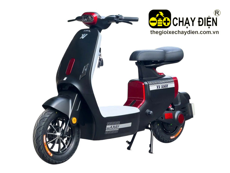 Xe điện YAKA VX
