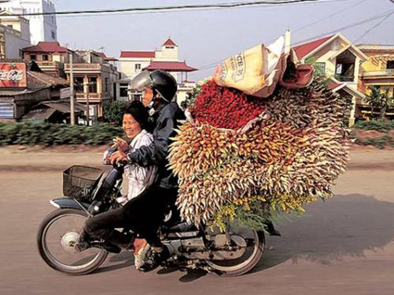 Xe máy cub tại Sóc Trăng