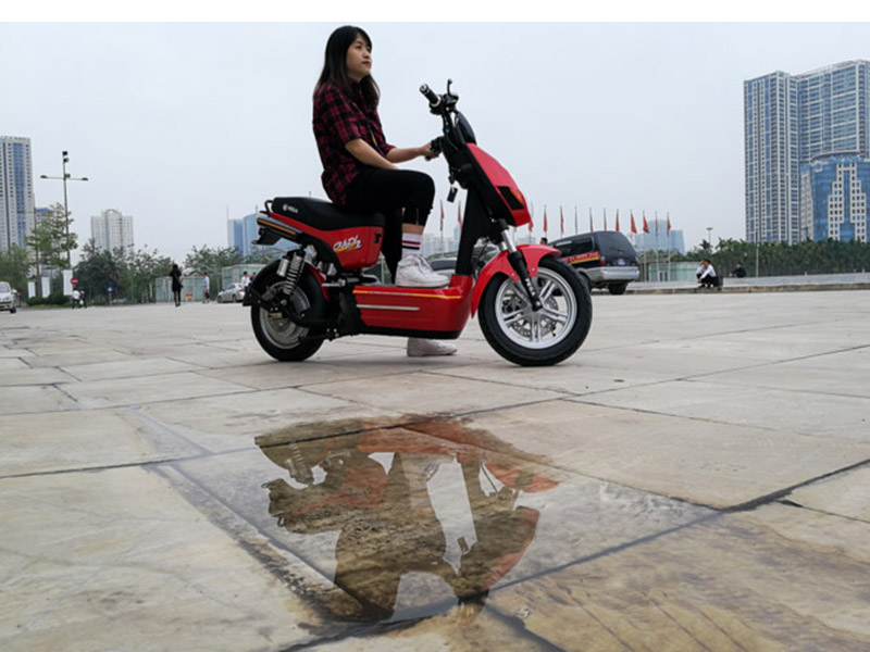 Xe máy điện Pega tại Long An