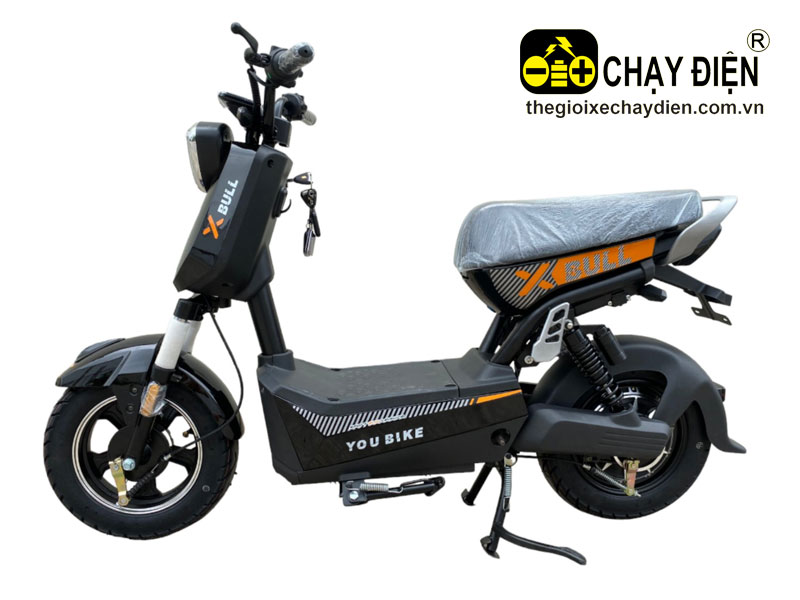 Xe điện TH CEO XBULL
