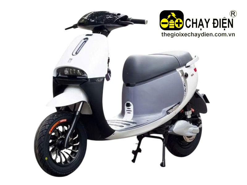 Xe máy điện Yaka Gogo Star