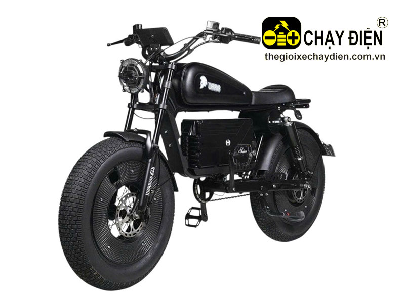 Xe trợ lực điện Himoto Warrior