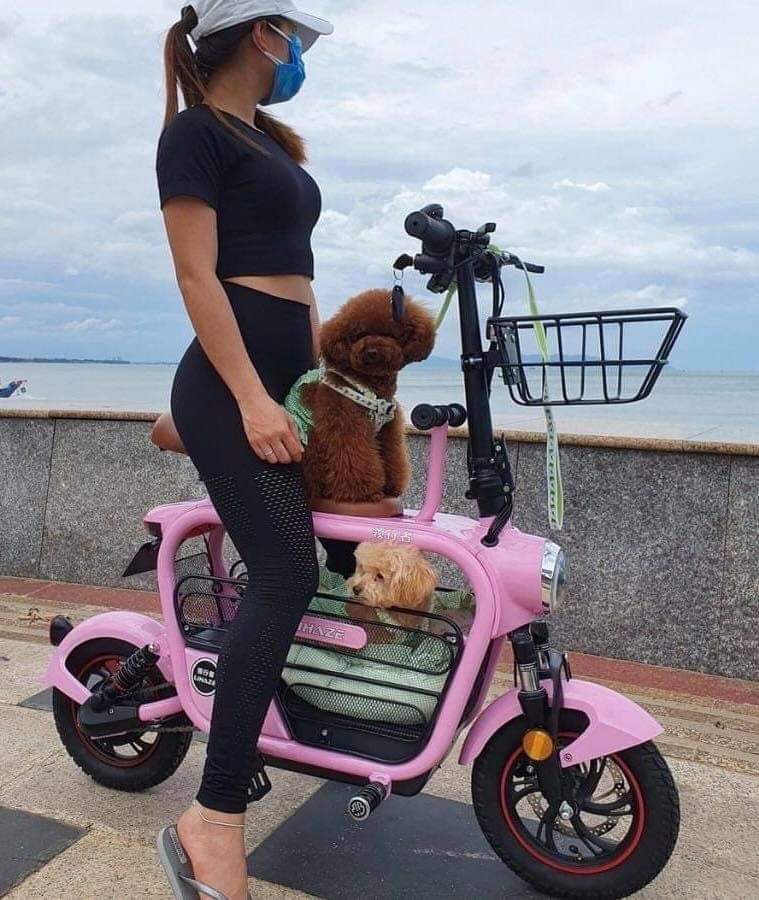 Xe đạp điện chở thú cưng có ngăn chứa rộng