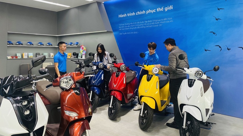 Chính sách bảo hành & dịch vụ