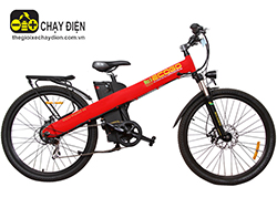  Xe đạp điện Ecogo Max8