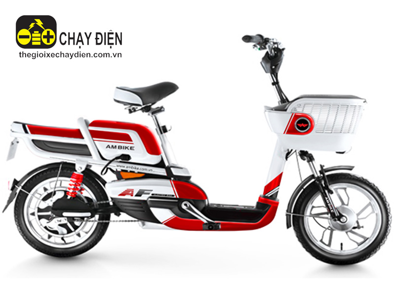 Ắc quy xe đạp điện ambike Ắc quy xe đạp điện ambike