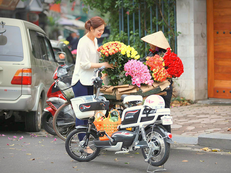 Xe đạp điện Ambike tại Bắc Giang 