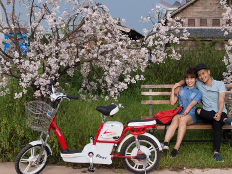 Xe đạp điện Autobike tại Tuyên Quang 