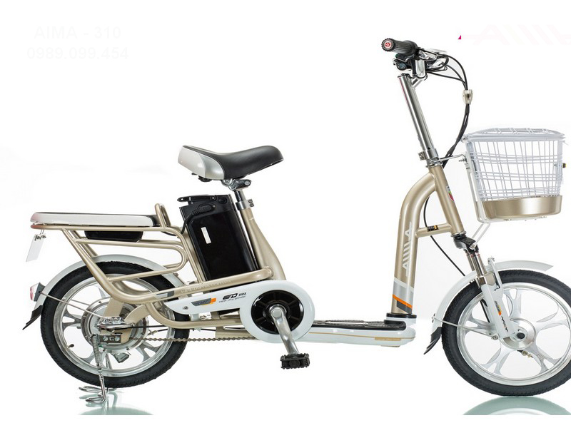 Ắc quy xe đạp điện Aima Lạng Sơn 