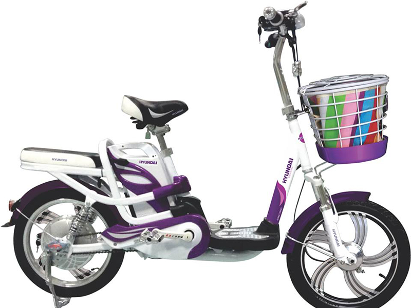 Xe đạp điện Hyundai Bắc Giang 