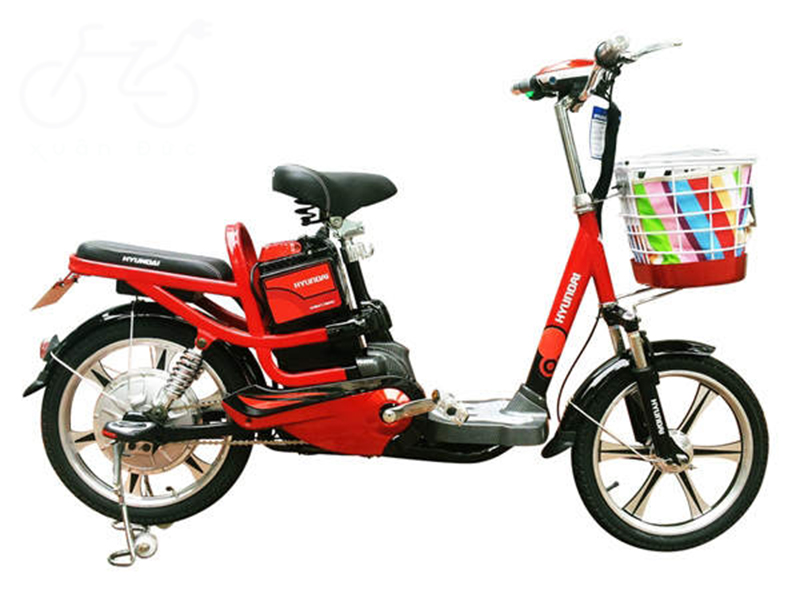 Xe đạp điện Hyundai Cát Tường 