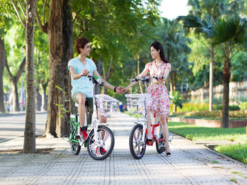 Ắc quy xe đạp điện hãng Espero