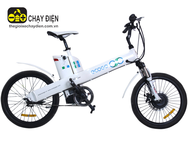 Ắc quy xe đạp điện hãng Ecogo tốt nhất Ắc quy xe đạp điện hãng Ecogo