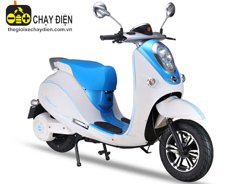 Ắc quy xe máy điện hãng Yadea chất lượng Ắc quy xe máy điện hãng Yadea