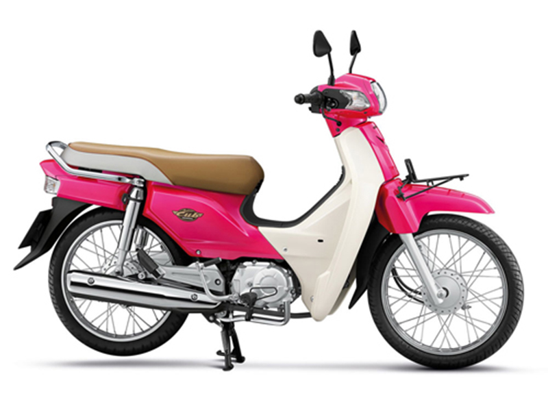 Xe máy Cub tại Trà Vinh tốt nhất Xe máy Cub tại Trà Vinh