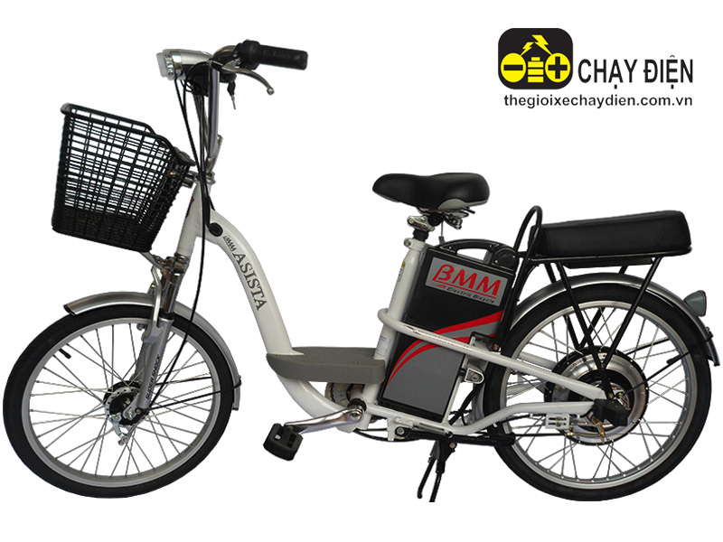 Xe đạp điện Asista Bmm tại Đồng Tháp 
