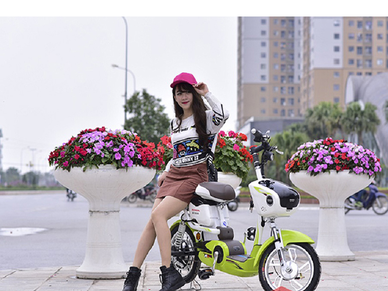 Xe đạp điện Honda tại Đồng Nai