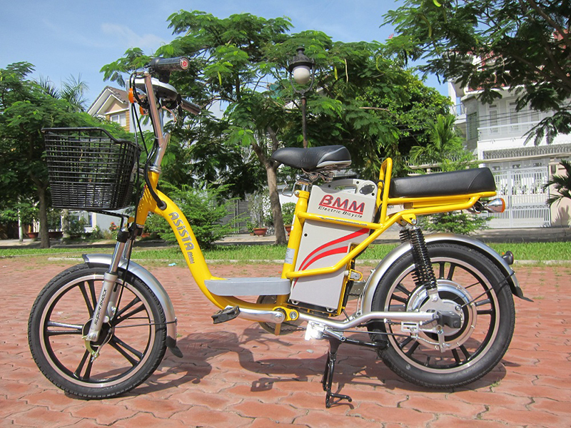 Xe đạp điện Asista Bmm tại Bình Dương 