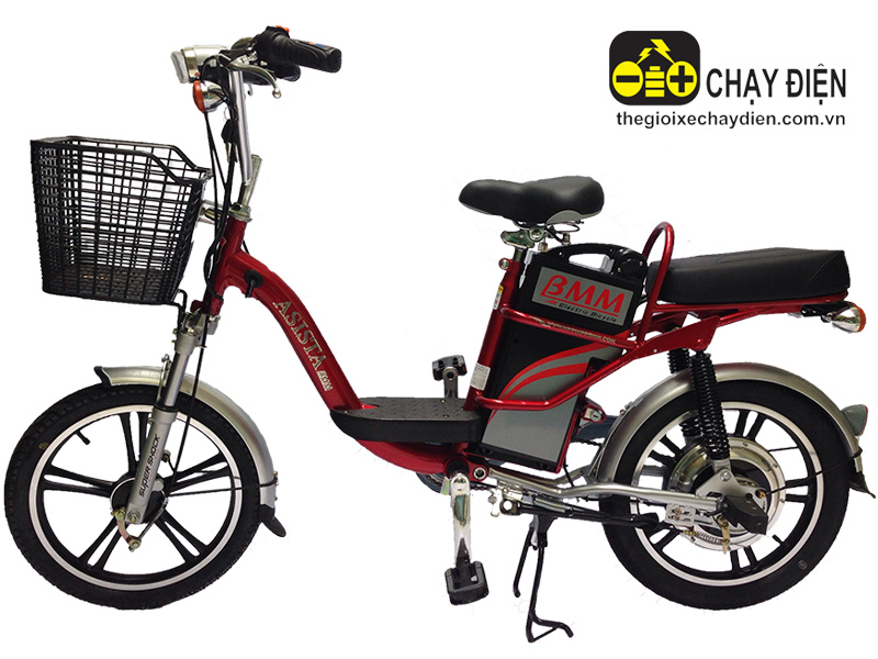 Xe đạp điện Asista Bmm tại Đồng Nai 