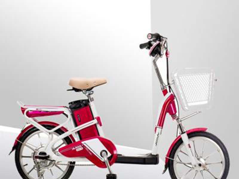 Xe đạp điện Aima tại Ninh Bình 