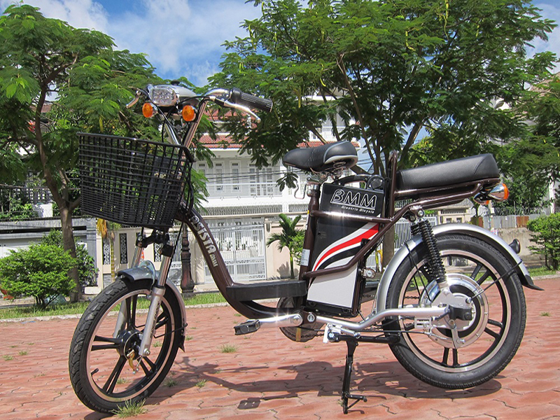 Xe đạp điện Asista Bmm tại Ninh Bình 