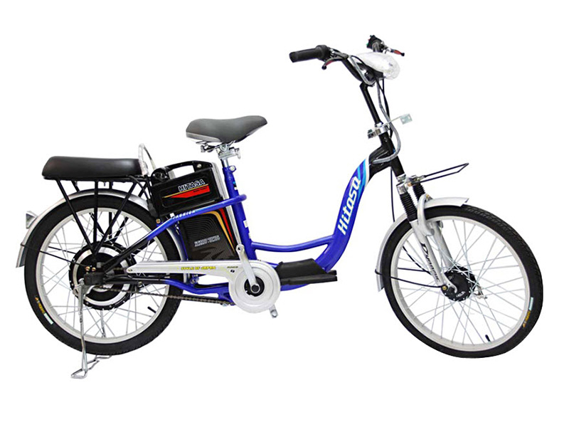 Xe đạp điện Asista Bmm tại Hà Tây 