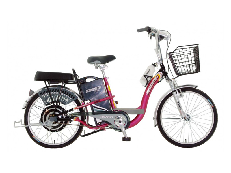 Xe đạp điện Asista Bmm tại Hà Tây 
