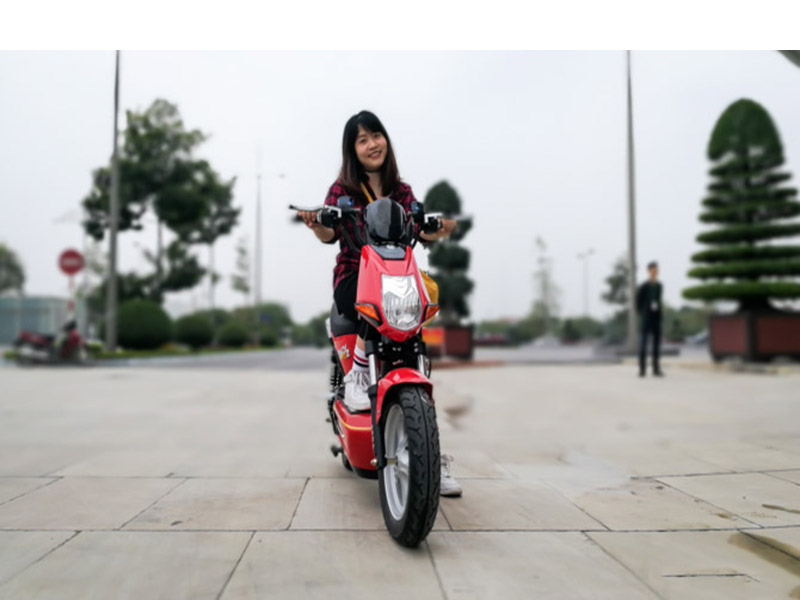 Phụ tùng xe máy điện Pega Crazybull2 giá rẻ Phụ tùng xe máy điện Pega Crazybull2