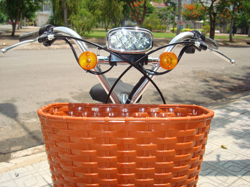 Xe đạp điện Asista Bmm tại Quảng Bình 