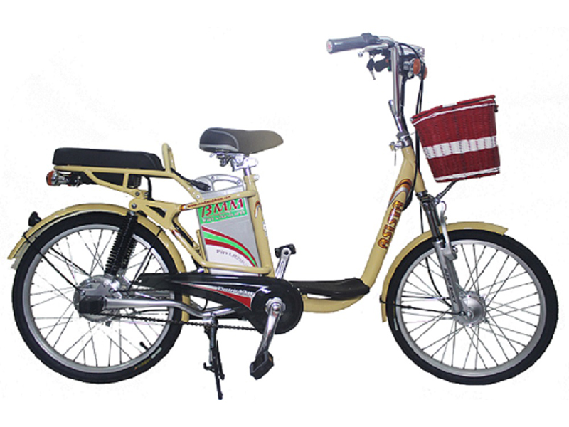 Xe đạp điện Asista Bmm tại Nghệ An 