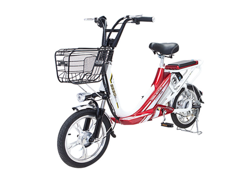 Xe đạp điện Terra Motors tại An Giang