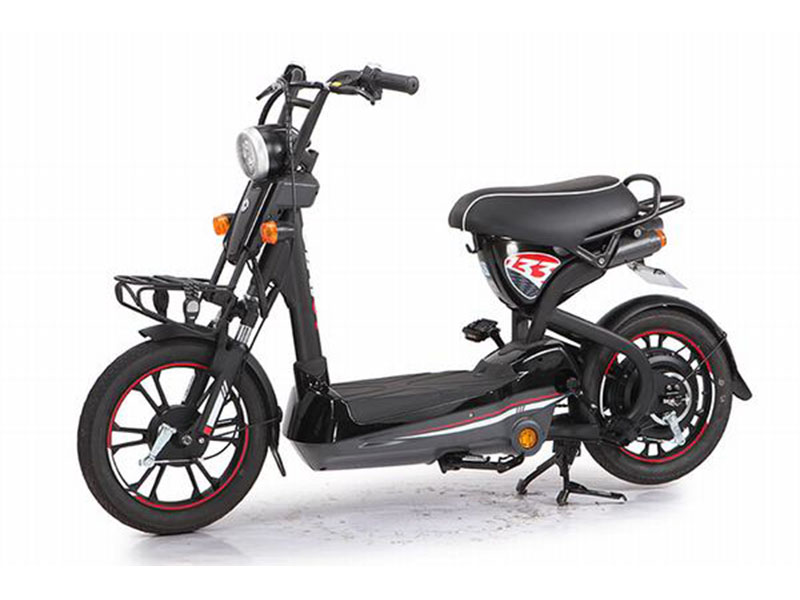 Xe đạp điện Giant tại Bắc Giang