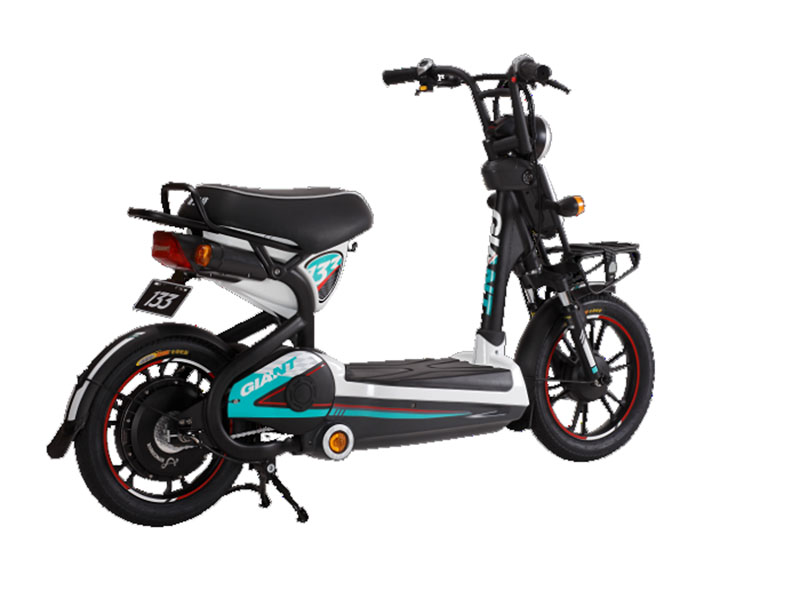 Xe đạp điện Giant tại Bắc Giang