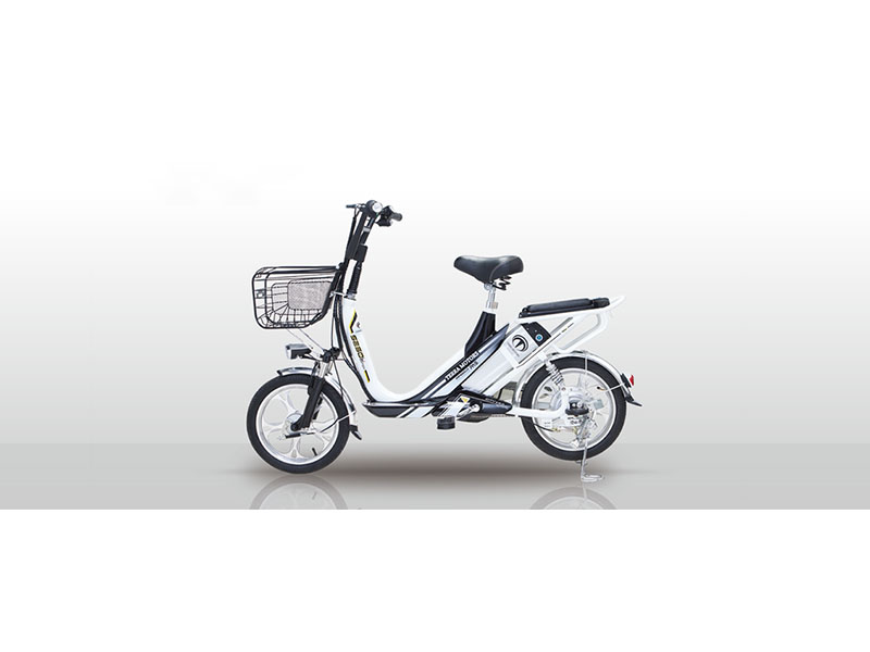 Xe đạp điện Terra Motors tại Bình Thuận