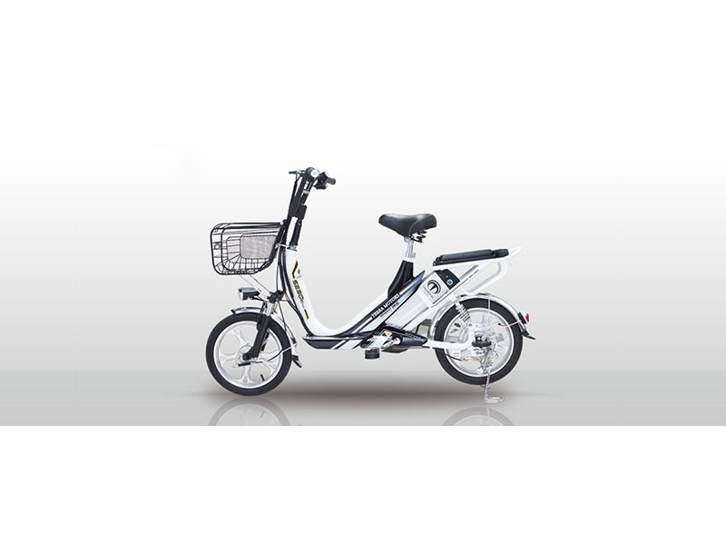Xe đạp điện Terra Motors tại Bắc Giang tốt nhất Xe đạp điện Terra Motors tại Bắc Giang