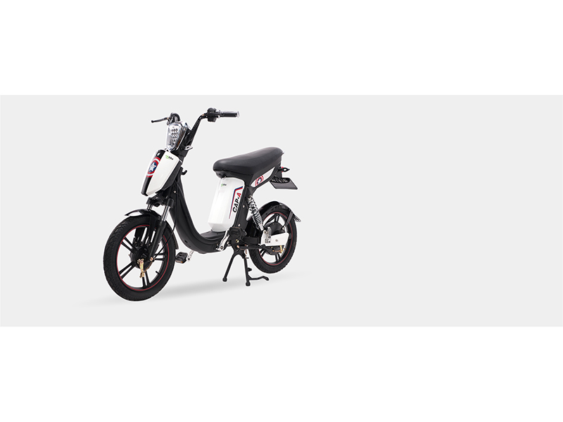 Xe đạp điện pega tại Cần Thơ