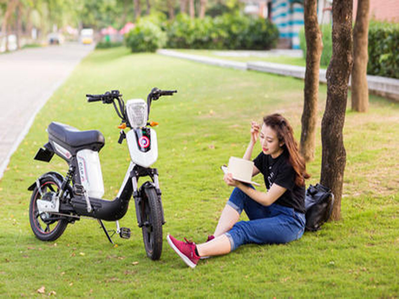 Xe đạp điện pega tại Phú Yên 