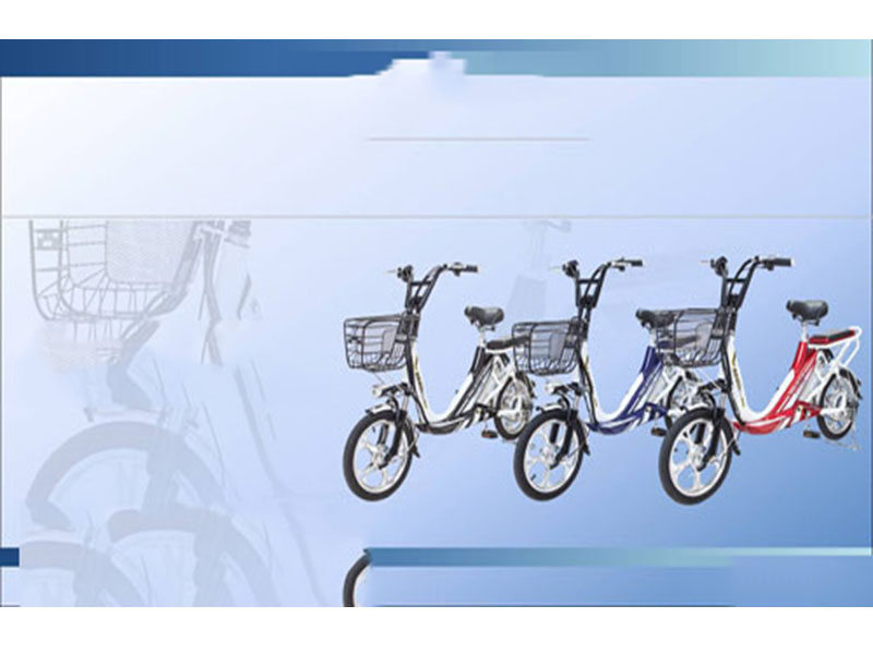 Xe đạp điện Terra Motors tại Ninh Bình 