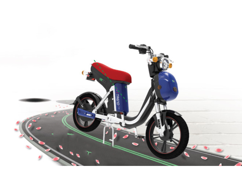 Xe đạp điện Terra Motors tại Hưng Yên 