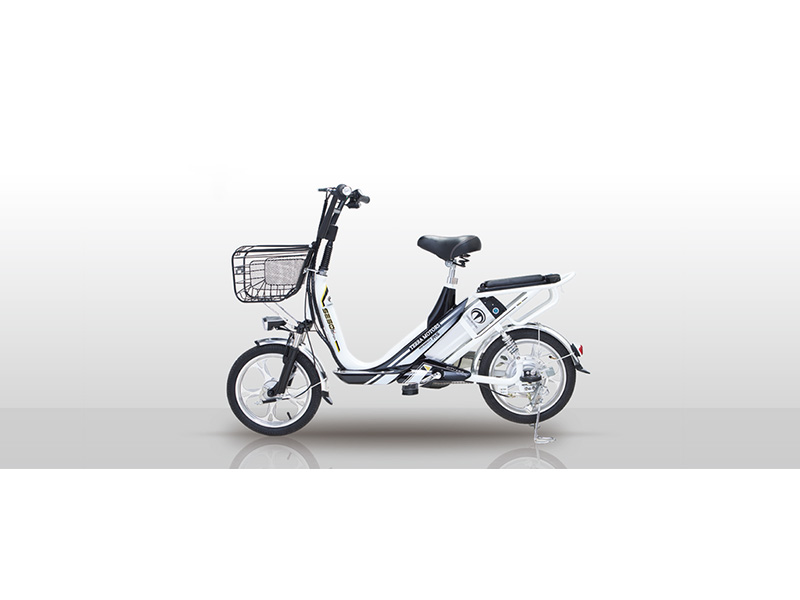 Xe đạp điện Terra Motors tại Hà Nội 