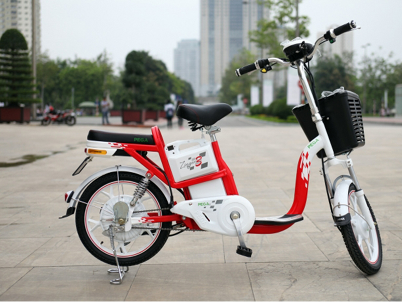 Xe đạp điện pega tại Lâm Đồng 