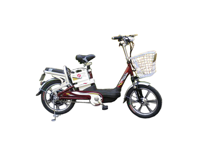 Xe đạp điện Jili tại Ninh Thuận