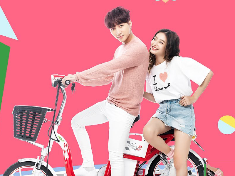 Xe đạp điện pega tại Tuyên Quang giá rẻ Xe đạp điện pega tại Tuyên Quang