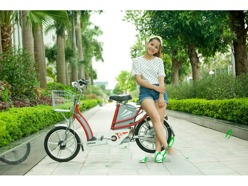 Xe đạp điện sufat tại Lâm Đồng