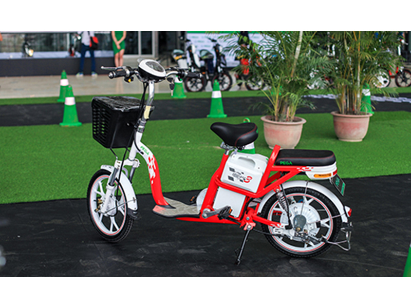 Xe đạp điện pega tại Nam Định 