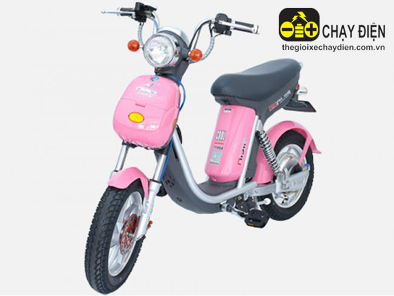 Xe đạp điện Tenbiken nhập khẩu Ba Đình