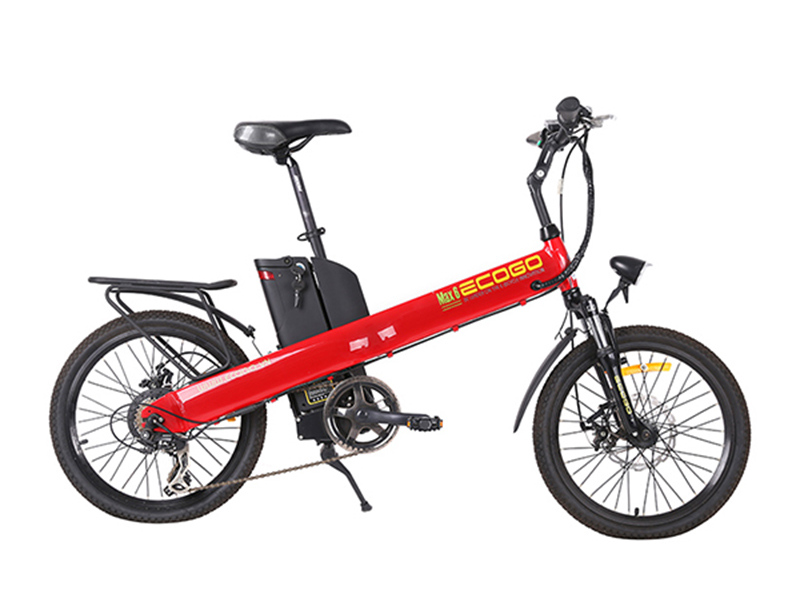 Ắc quy xe đạp điện Ecogo Hải Phòng 