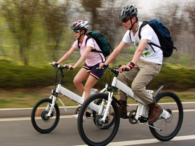 Phụ tùng xe đạp điện Ecogo Bình Định 